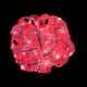 thumbnail image 1 of Listón de 50 Luces LED YANKON 5 Metros Decorativo Navidad rojo, 1 of 5