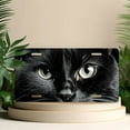 thumbnail image 4 of Black Cat Close up Front License Plate, Metal License Plate, Funny Standard Plates Personalized Novelty Decorative For Men/Women/Boys/Girls Car 6×12 Inch, 4 of 6