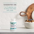 thumbnail image 6 of NutriCology Quercetin 300 - 60 Capsules, 6 of 7