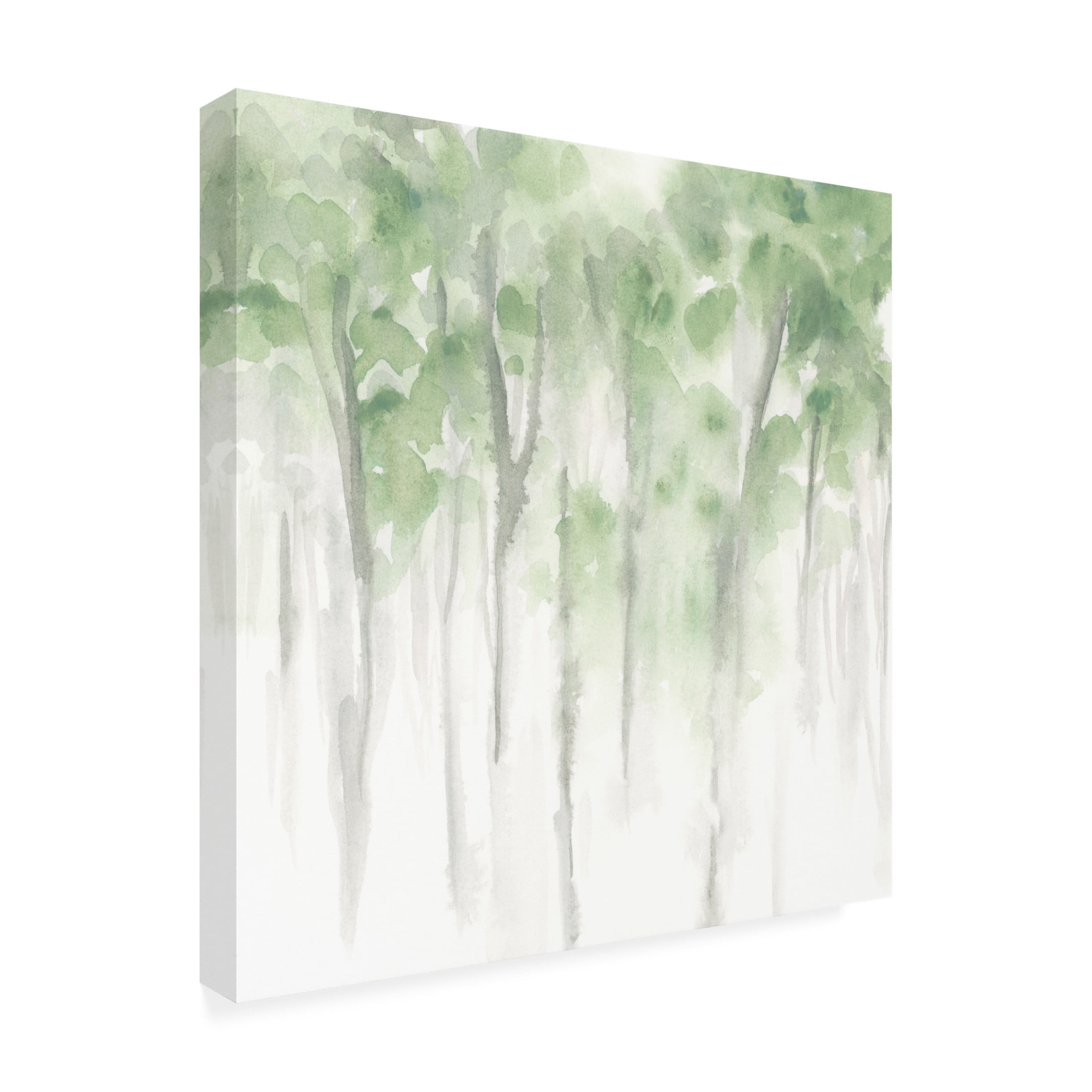 Trademark Fine Art June Erica Vess Misty Grove I Canvas Wall Art