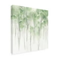 thumbnail image 4 of Trademark Fine Art June Erica Vess Misty Grove I Canvas Wall Art, 4 of 4