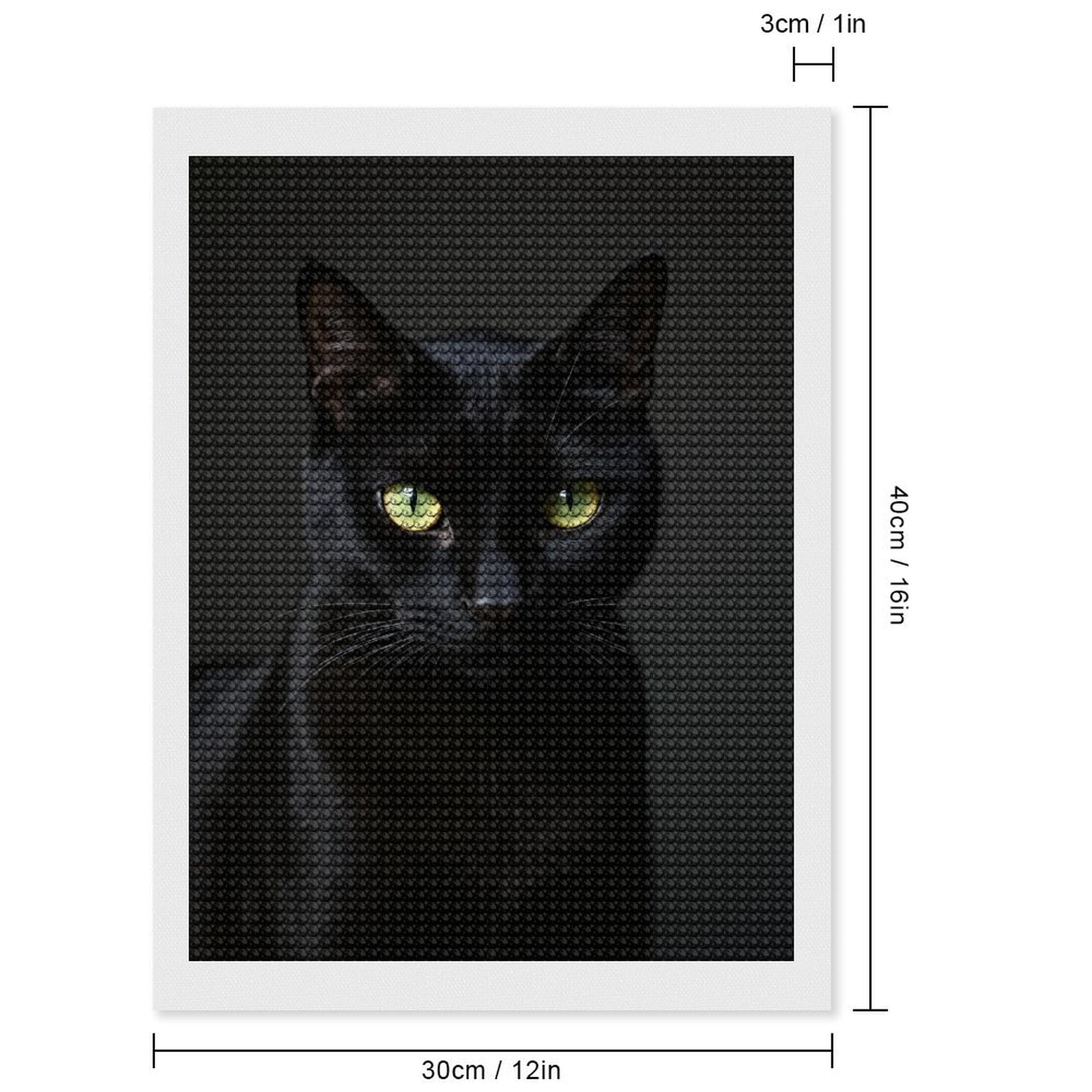 Diamond Art Kits for Adults, Black Cat Green Eyes Portrait 5D Diamond Painting Kits for Adults Beginners, DIY Full Drill Diamond Painting, Gem Art and Crafts 12x16