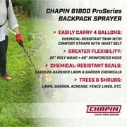 Chapin 61800: 4-gallon ProSeries Professional Manual Backpack Sprayer