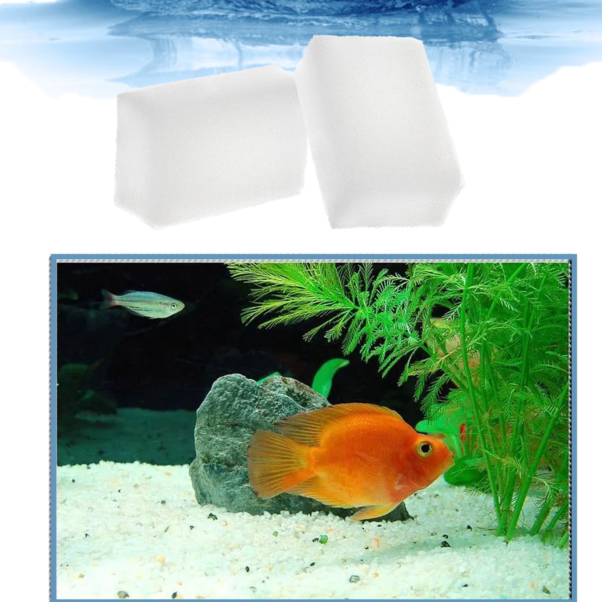 Delapan Fish Foam Pre-Filter Sponges for Canister Filters and AquaClear 70 300 Aquarium Filter Media, 8 Pack