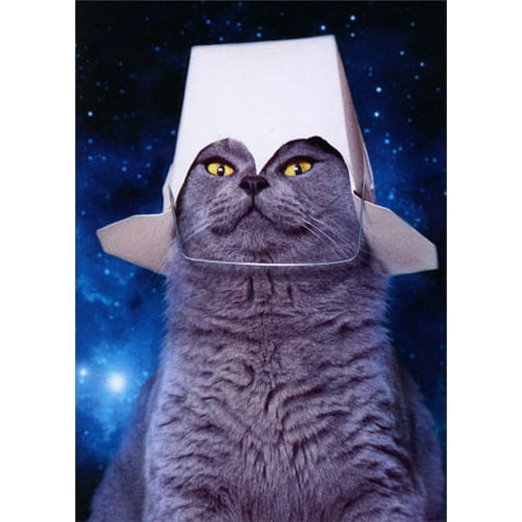Avanti Press Take Out Space Cat: Pop Up Stand Out Funny Birthday Card
