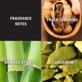 thumbnail image 3 of Perfume Lucky You de Lucky Brand para hombre, colonia en aerosol, 100 ml, 3 of 6