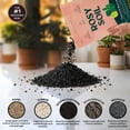 thumbnail image 4 of Cactus Soil – Organic Succulent Potting Mix, Chunky Fast Draining, Peat-Free, Root Boosting Mix for AloeVera, Cacti, Indoor Succulents - 4qt, 4 of 4