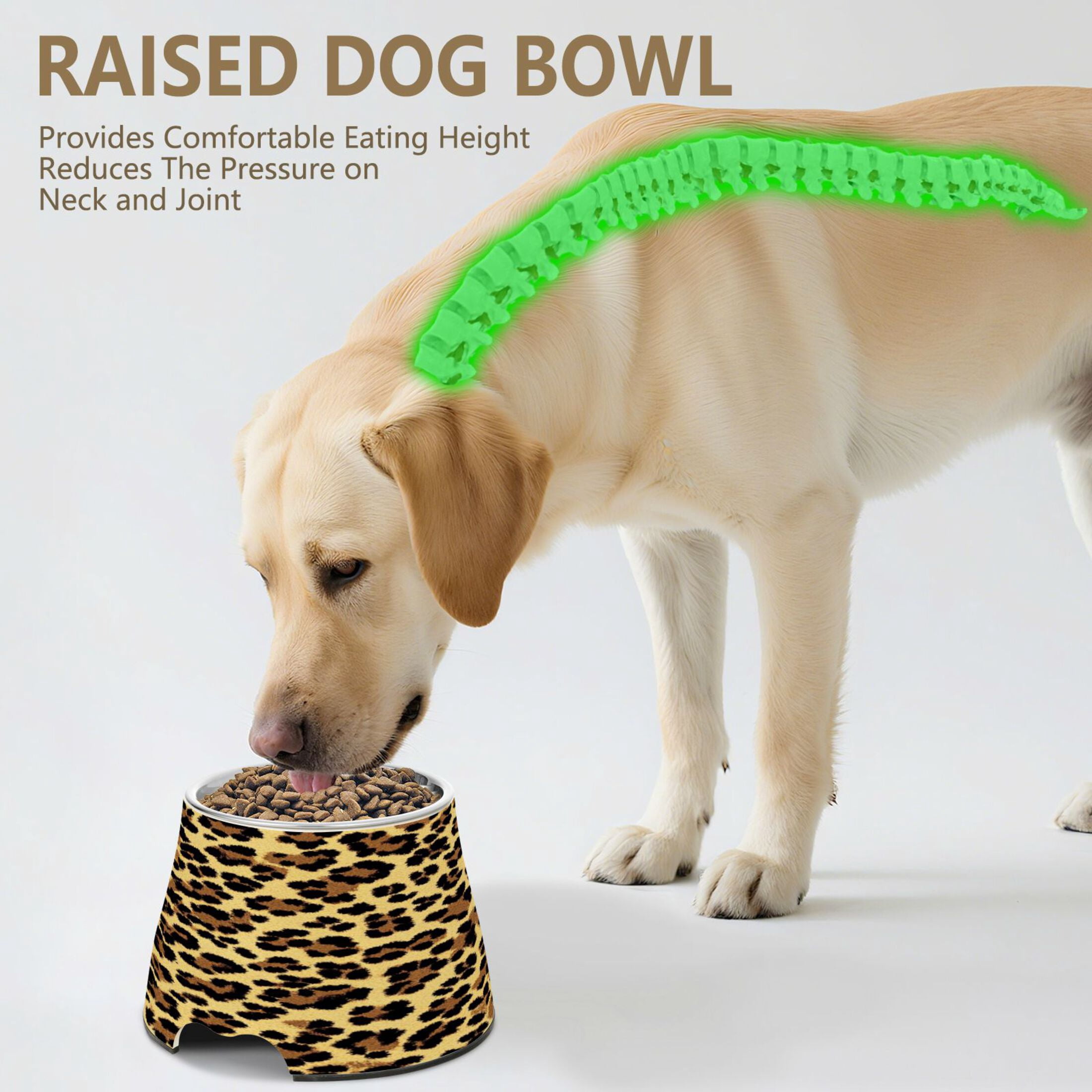 Raised Pet Bowl with Removable Stainless Steel Insert Anti-Slip No-Tip Dog Bowl for Small to Medium Pets Brown Leopard