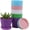 Pink / White / Purple / Blue / Green, variant on 10 Pcs Plastic Planters Indoor Flower Plant Pots, Mini Flower Seedlings Nursery Pot/Planter/Flower Pot with Pallet, Modern Decorative Gardening Containers (White)