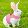 thumbnail image 6 of AIITLE Rabbit Harness and Leash Set with Cute Bow, Bunny Leash Vest Mesh Eescape Proof Walking Training for Small Animal Pets Kitten Puppy Squirrel Ferret Pig Bunny Pink L, 6 of 6