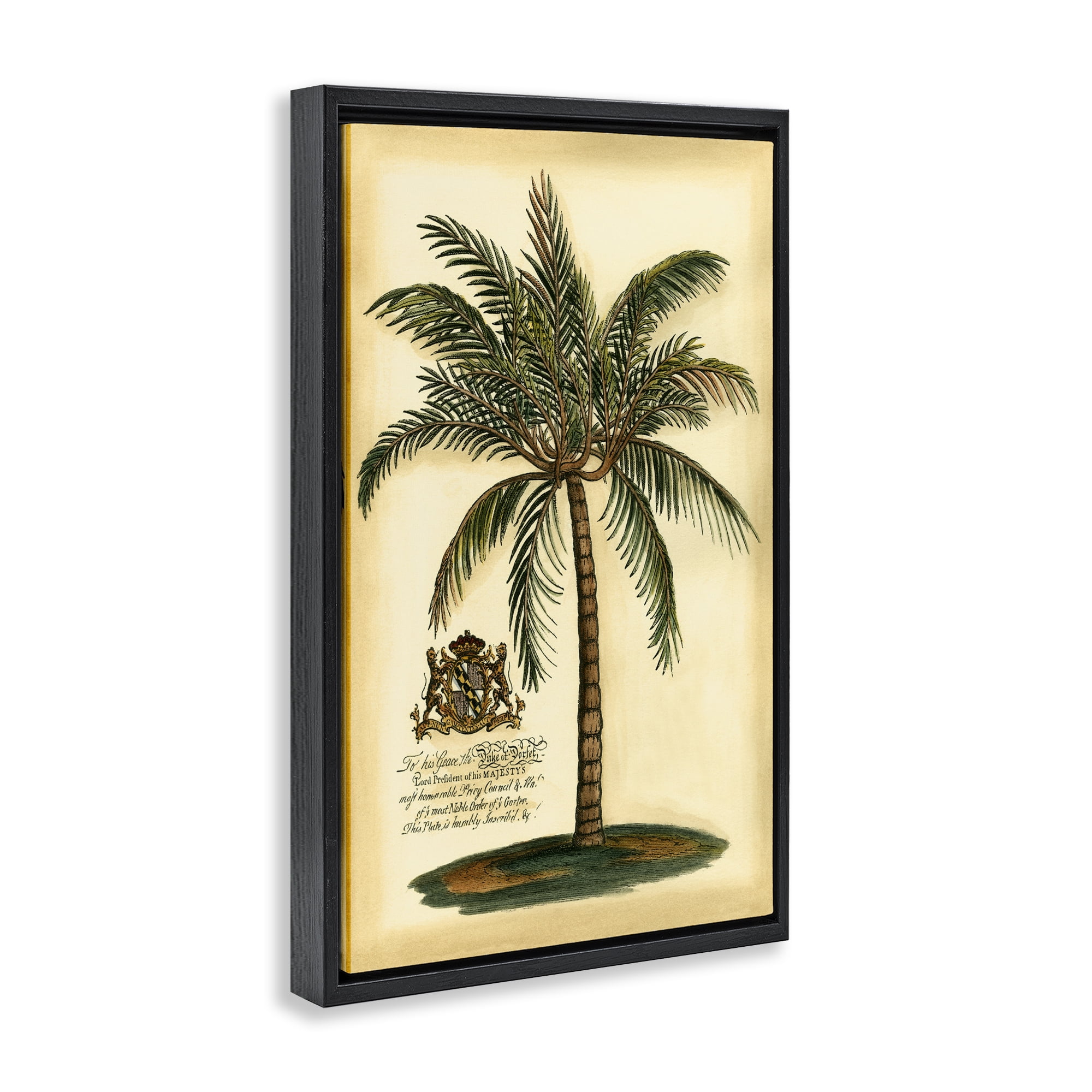 Stupell Industries British Colonial Palm Black Framed Floater Canvas Wall Art, design by Vision Studio