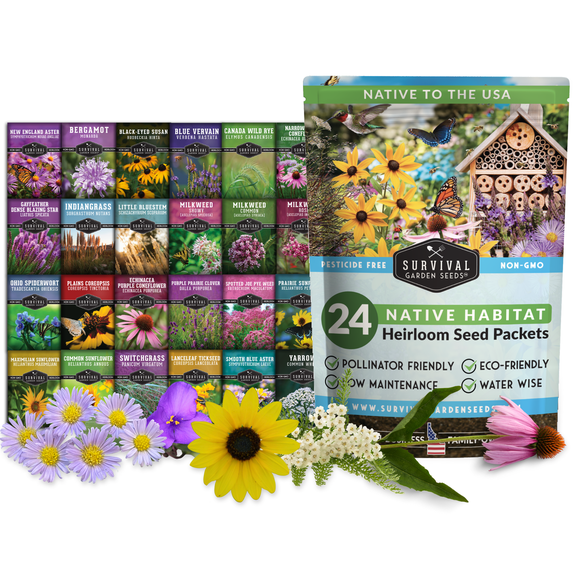24 Native Flower Seeds - Wildflowers & Ornamental Grasses - Attracts Bees - Zone 3-10