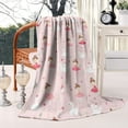 thumbnail image 2 of Ballet Swan Princess Pattern Blanket,Comfortable Soft Lamb Wool Throw Blanket,All Season,Warm Lightweight Blankets for Sofa Bed Couch Living Room Chair,60"x80", 2 of 4