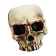 thumbnail image 4 of Skeleton Head Planter, Skull Head Planter Multipurpose Exquisite High Strength  For Office, 4 of 8