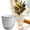 B, variant on Transparent Self Watering Planter Automatic Wick System Lightweight Sturdy for Indoor Outdoor Succulents Seedlings Plant