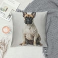 thumbnail image 2 of Throw Pillow Cover ，French Bulldog Square Throw Pillow Cases，Beautiful Funny Adorable Beige Brown Domestic Animal Polyester Throw Cushion Covers for Couch Sofa Chair Bedroom, 2 of 5