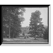 Historic Framed Print, [View in Highland Park, Rochester, N.Y.], 17-7/8" x 21-7/8"
