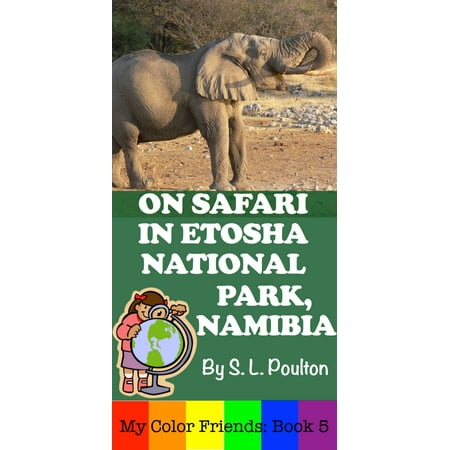 On Safari in Etosha National Park, Namibia - (Best Time To Visit Etosha National Park)