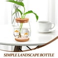 thumbnail image 3 of HONMEET Glass Terrariums for Plants Plant Terrarium Jar Clear for Versatile Display 1 Set, 3 of 8