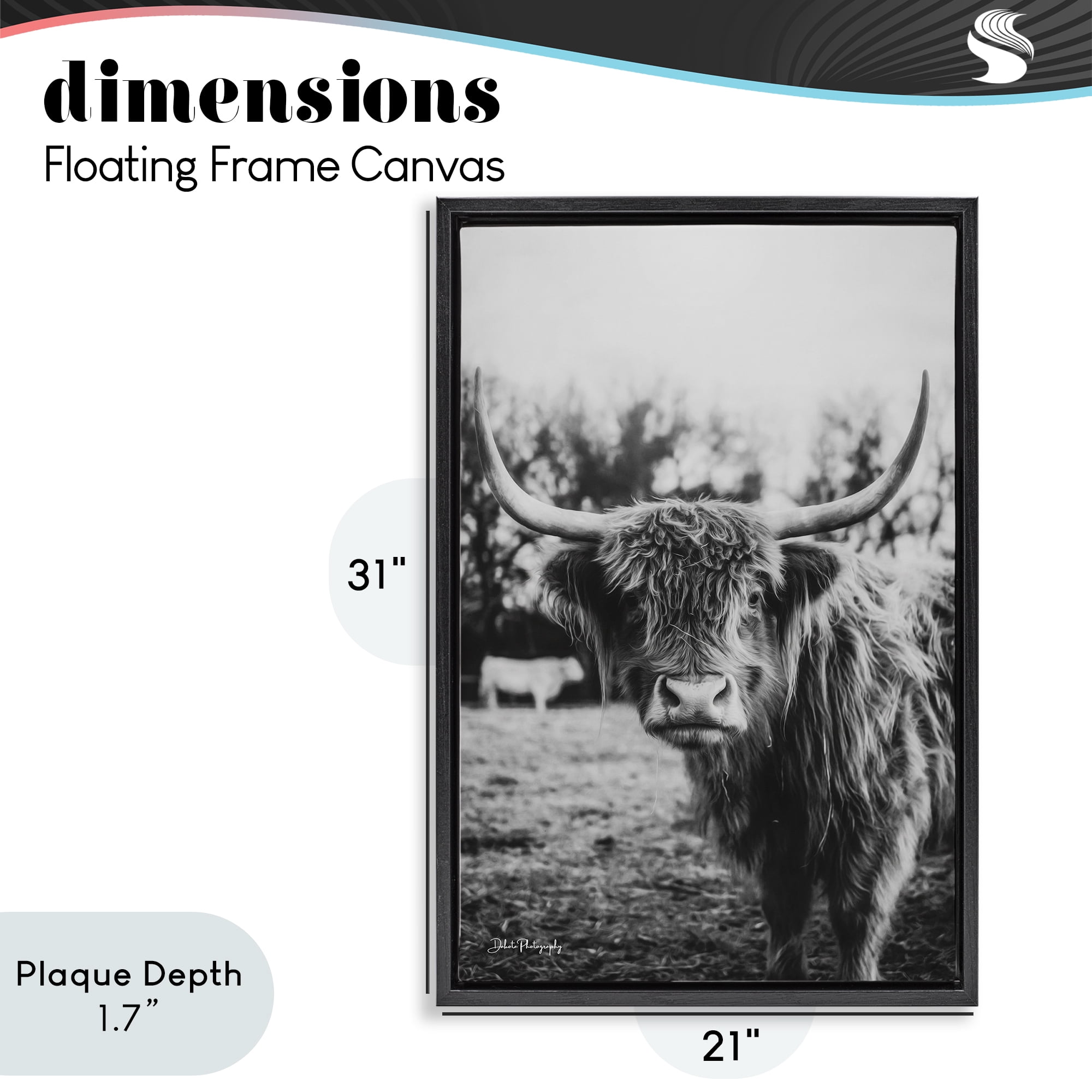 Stupell Industries Peering Highland Cattle Black Framed Floater Canvas Wall Art, design by Dakota Diener