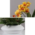 thumbnail image 4 of Simulación de flor, mariposa, orquídea, planta, bonsái de cerámica, adorno for sala de estar, arreglo floral for Hotel, manualidades decorativas, 4 of 6