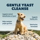thumbnail image 2 of Suplemento FOUR LEAF ROVER Yeast Guard Dog Gut Health, 2 of 9
