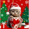 thumbnail image 3 of ToyKingdee Tabby Cat Ornament,Cat Christmas Hanging Ornament, Gift for Pet Lover, Custom Pet Christmas Ornament, Tabby Cat Christmas Ornament, Christmas Decoration, 3 of 3