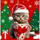 thumbnail image 3 of Colgante Navideño con Forma de Taza de Acrílico Plana y Diseño de Gatos., 3 of 3
