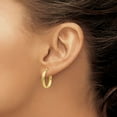 thumbnail image 5 of 10k Yellow Gold Polished Hoop Earrings, 5 of 5