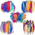 thumbnail image 1 of Colorful Feathers,300 Pieces Feather For Crafts Striking Feathers Natural Craft Feathers Goose/turkey Feathers For Diy Dream Catchers Wedding Baby Sho, 1 of 5