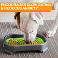 thumbnail image 3 of Neater Pets Neat-Lik Slow Feed Licking Pad for Dogs & Cats with Mess-Proof Tray, Green Mat, 3 of 11
