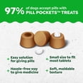 thumbnail image 6 of Greenies Pill Pockets for Dogs Chicken Flavor Small Size Soft Dog Treats, 3.2 oz Pouch, 6 of 12