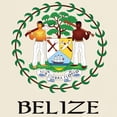 thumbnail image 3 of CafePress - Belize Coat Of Arms Light T Shirt - Men's Classic Graphic T-Shirt, 3 of 4