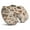 Black-24, variant on Premium Mushroom Pattern Memory Foam Seat Cushion Ergonomic Chair Pad for Office Chair, Car, Airplane & Bleachers Sciatica, Tailbone Hip & Back Pain Relief - Chair Cushion for Long Office Workers.