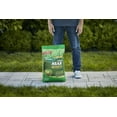 thumbnail image 5 of Scotts Green Max Lawn Fertilizer, 10,000 sq. ft., 33.33 lbs., 5 of 16