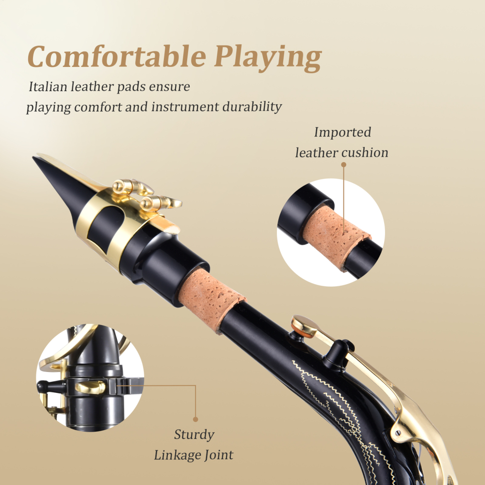 PWTOOL Alto Saxophone Drop E Brass Sax Full Kit for Student Beginners with Carving, Mouthpiece, Carrying Case, Gloves, Cleaning Cloth Bar (Black & Gold)