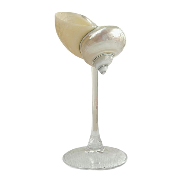 copa de champán con forma de caracol, copas de martini, vasos de cóctel, bonitas, regalos, copas de champán hechas a mano, copas de boda para mujeres y hombres a Vista frontal 3/4 de copa hecha a mano con cuenco formado por una concha caracol nacarada crema sobre tallo de vidrio transparente y base redonda texturizada; mide aprox. 16 cm (6.3 in), uso decorativo para bodas y también adecuada como pequeña bandeja para cóctel.