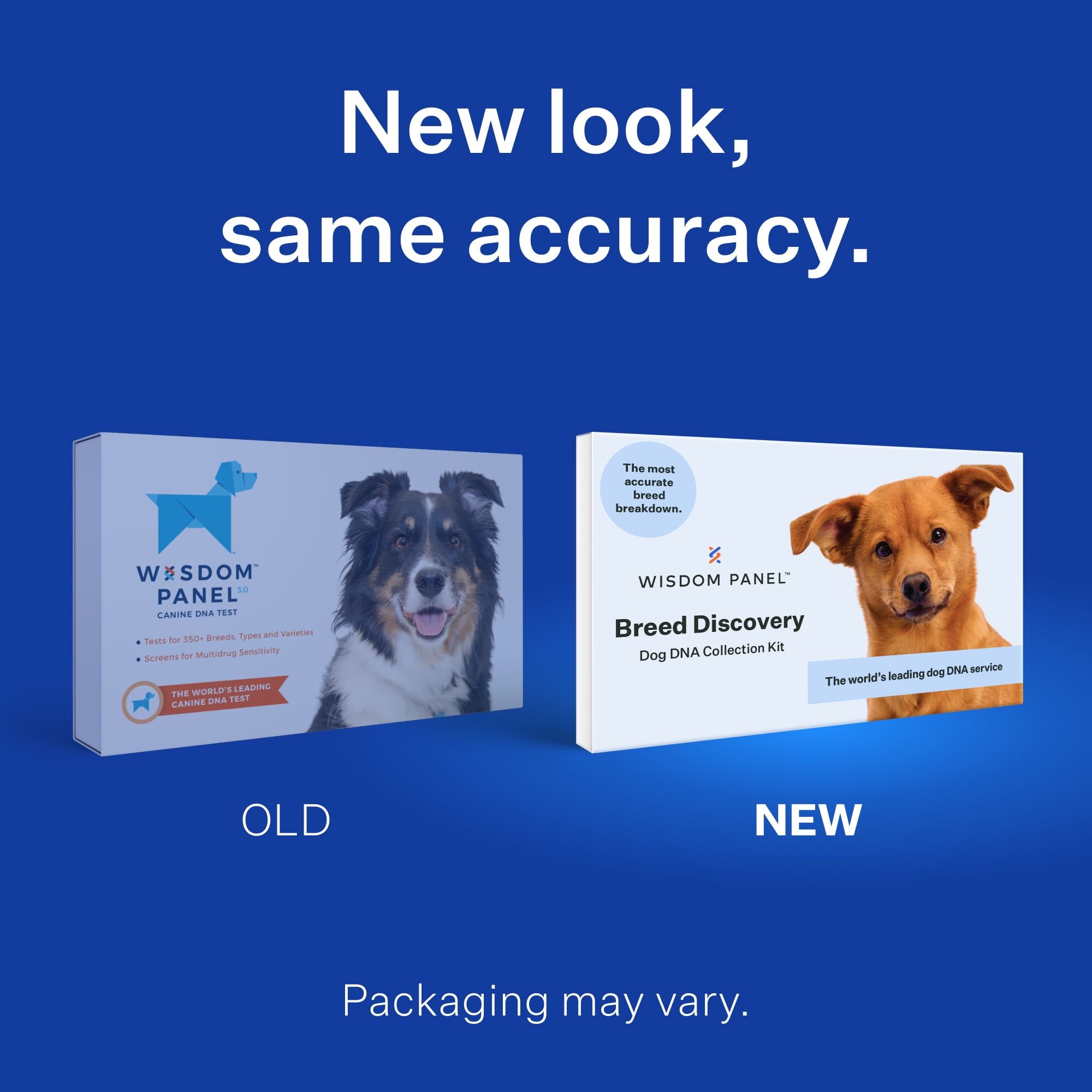 Dog Breed Dna Test Kit lupon.gov.ph