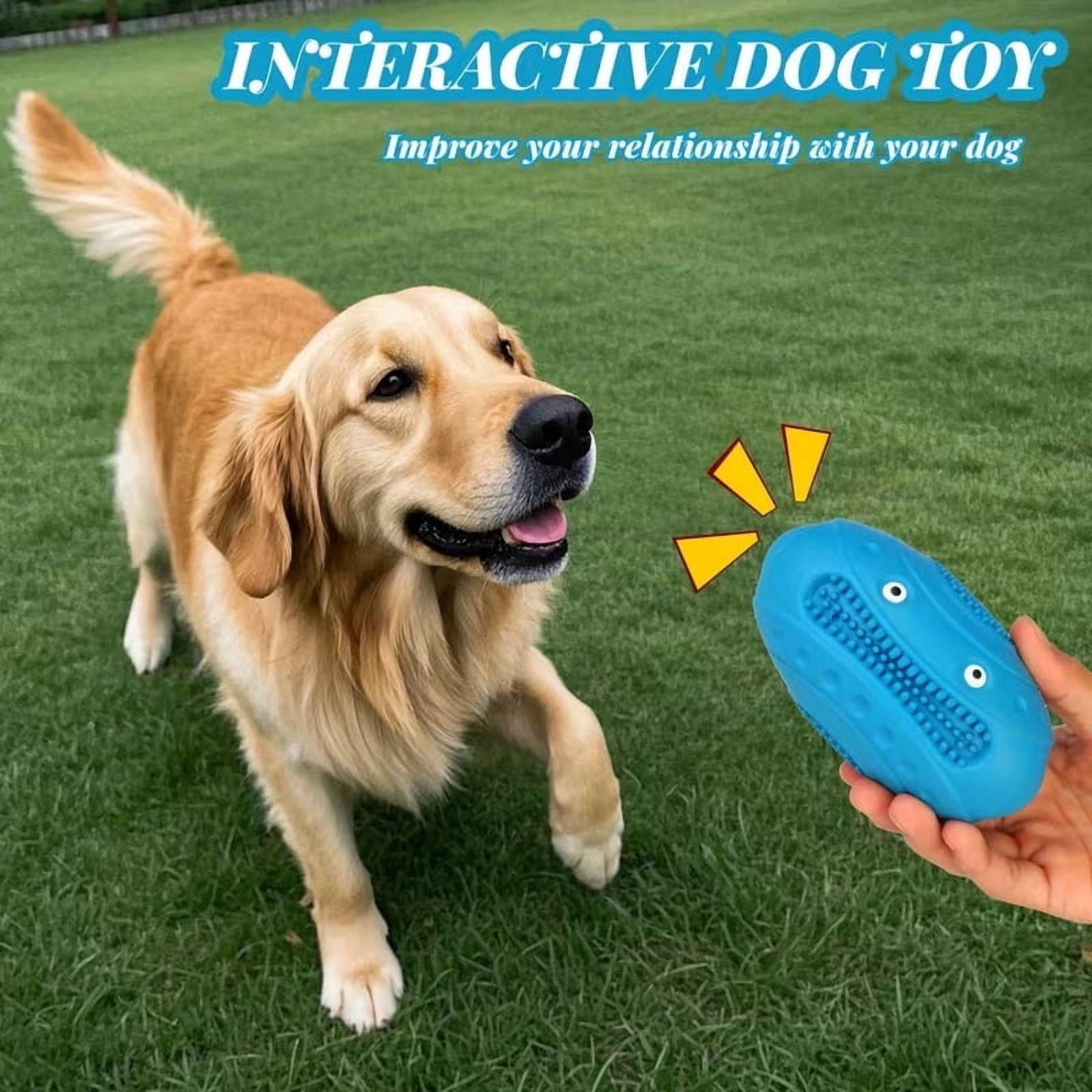 1 Indestructible Chew Toy - Durable, Squeaky, Large Toy for Large Dogs (Blue)