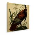 thumbnail image 2 of Trademark Art Animals Art Print, 16" x 16", by Ryan Radke, 2 of 3
