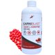 thumbnail image 1 of Suplemento energético Bricker Labs CARNIBLAST L-Carnitina 3000 mg, 1 of 9