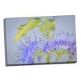 thumbnail image 2 of Gango Home Decor Contemporary Caryopteris IV by Kathy Mahan (Ready to Hang); One 24x16in Hand-Stretched Canvas, 2 of 4