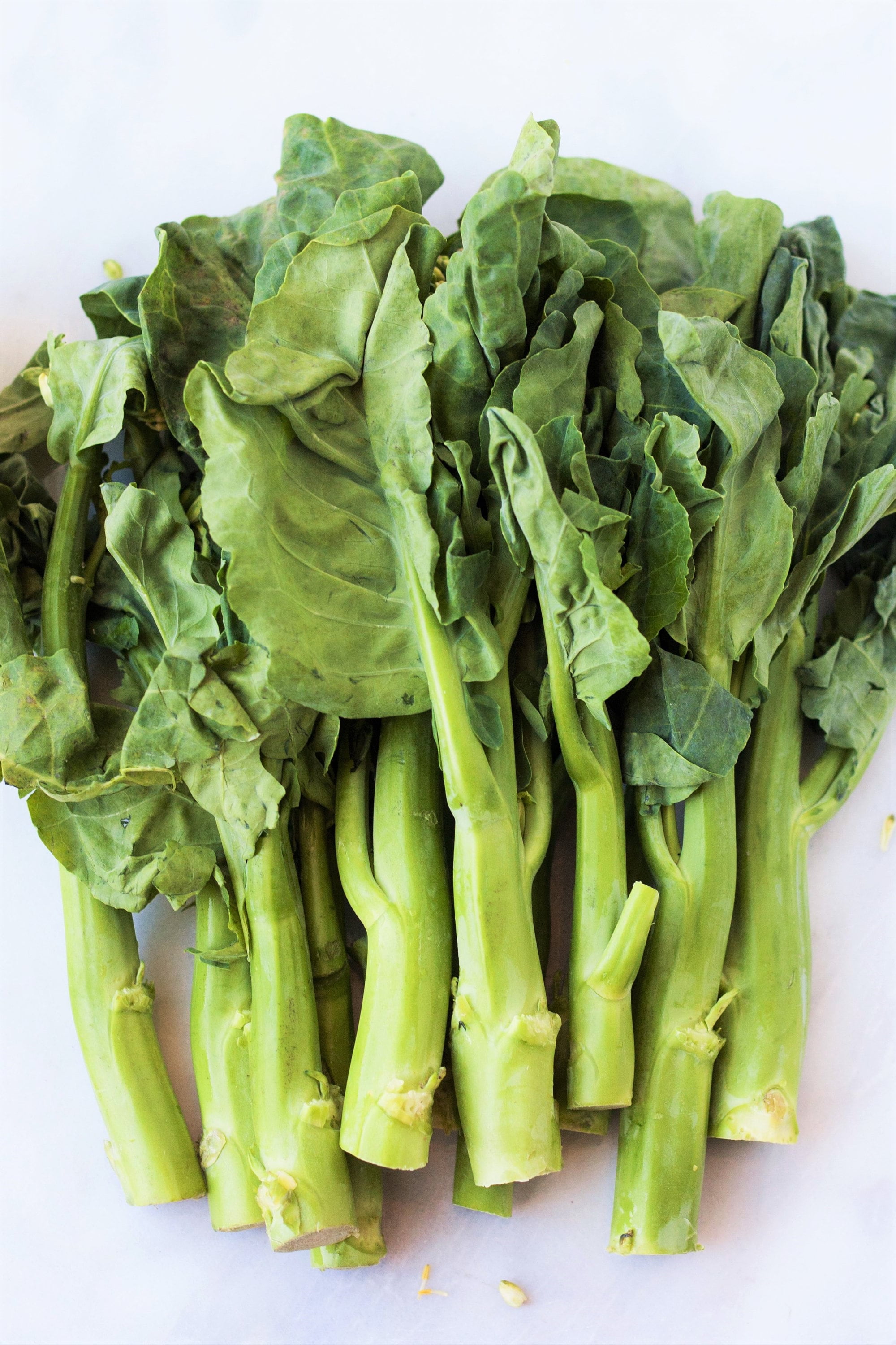 TomorrowSeeds Chinese Broccoli Seeds 200+ Count Packet Jie Lan