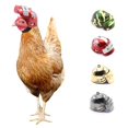 thumbnail image 2 of Pet Chicken Helmet Cute Funny Safety Helmet To Protect The Head Of Small Poultry for Ducklings Parrots Chickens Hat Headgear He Qiyong unisex, 2 of 2