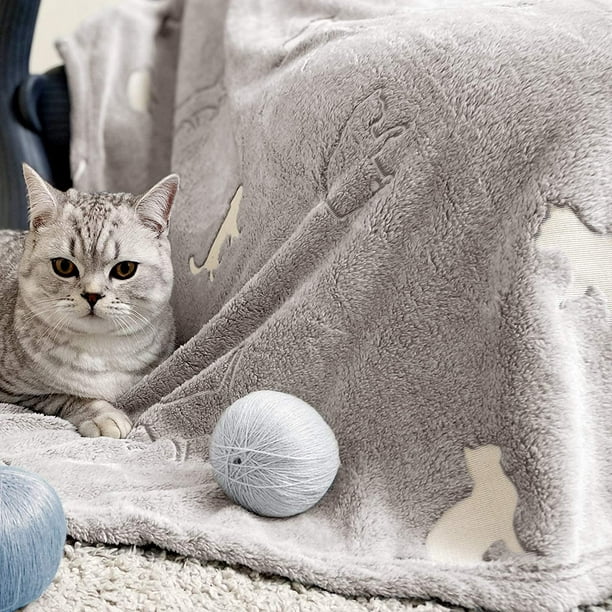 JINCHHTOOQ Grey Throw Blanket Glow in The Dark Blanket Cat Blanket Flannel  Fleece Blanket Throw Gray Fall Throw Blanket Cat Gifts for Cat Lovers Women