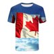 thumbnail image 5 of Tops para hombre, blusas y camisas de manga corta con cuello redondo para hombre, jersey informal con cuello redondo estampado para hombre, pantalones cortos deportivos para fitness, blusa de poliéste, 5 of 5