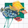 thumbnail image 1 of Tile Mural Bathroom Backsplash - PB- Clownfish - by Paul Brent, 1 of 1