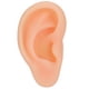 thumbnail image 1 of Modelo De Oreja, Estructura Sólida Mano De Obra Exquisita Funcionamiento Completo Para La Actividad YLSHRF Derecha, 1 of 8