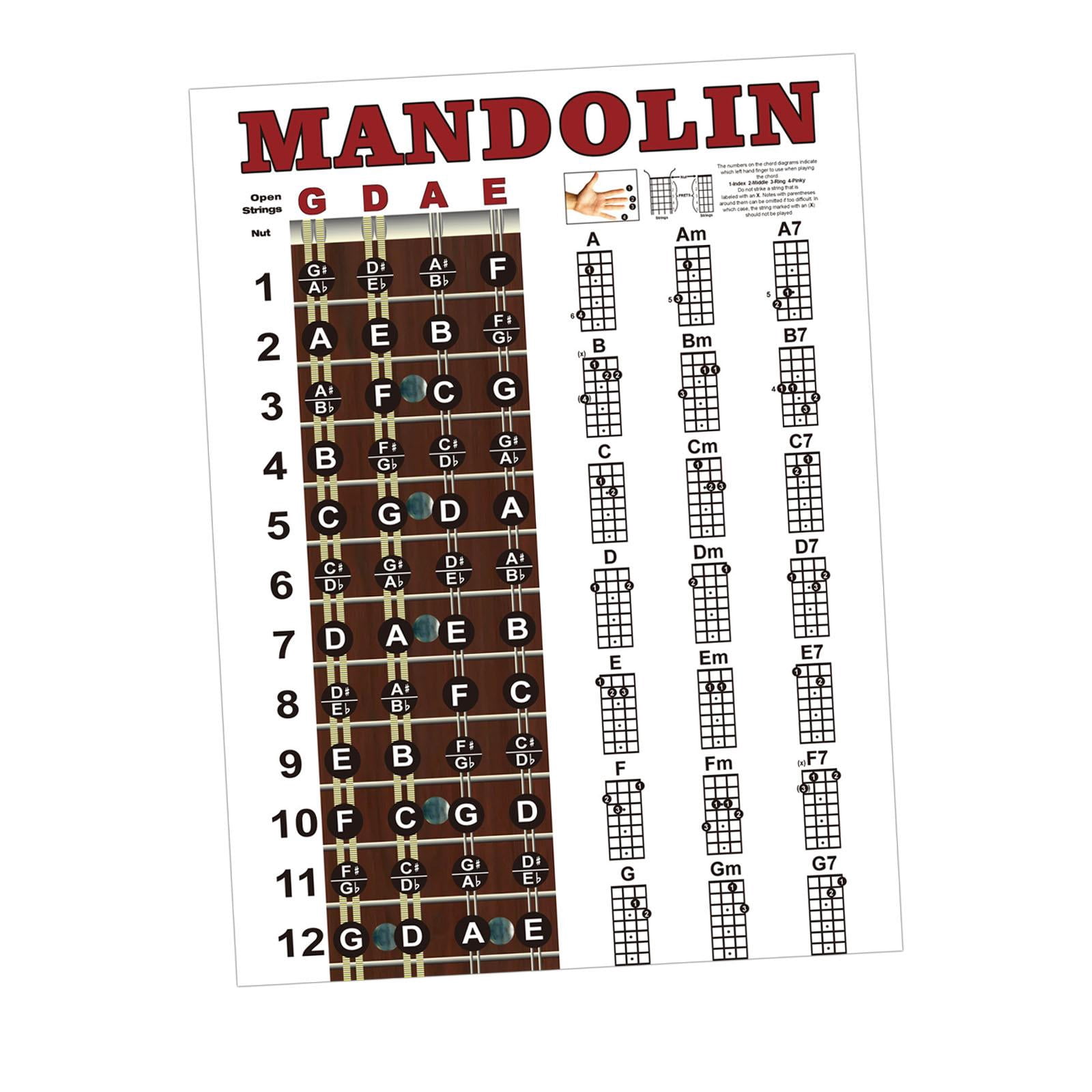 Tabla de de mandolina, guía de referencia, tabla de pared de 22,05 x 15 ...