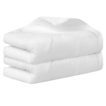 REGALWOVEN Cotton 2 Piece Hand Towels, Thick and Comfort, Highly Absorbent Towels for Bathroom, Travel White 14' x 30'